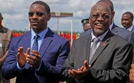 A Business Opportunity for Tanzanians at Home and Abroad