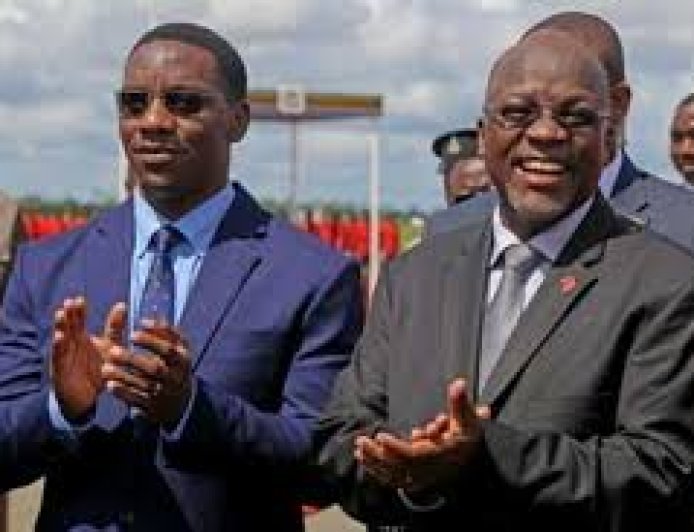 A Business Opportunity for Tanzanians at Home and Abroad