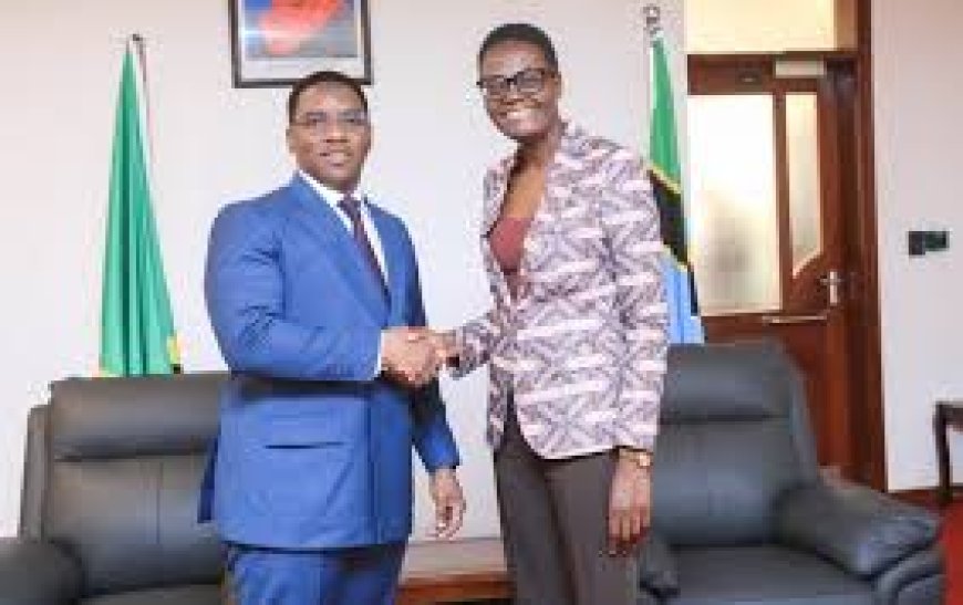 A Business Opportunity for Tanzanians at Home and Abroad