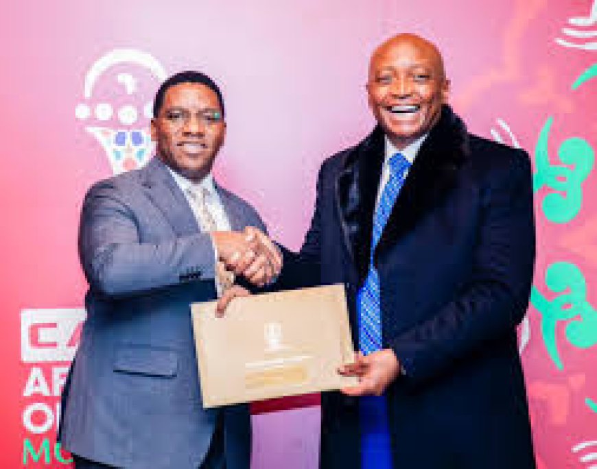 A Business Opportunity for Tanzanians at Home and Abroad