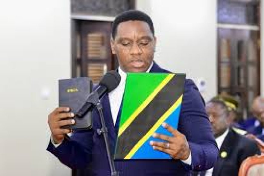 A Business Opportunity for Tanzanians at Home and Abroad