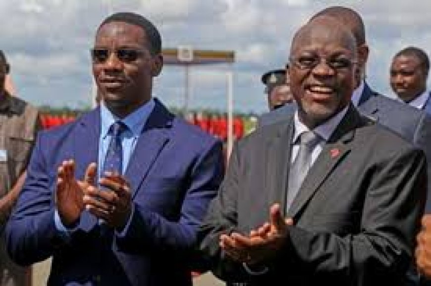 A Business Opportunity for Tanzanians at Home and Abroad